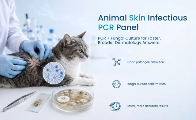 Animal Skin Infectious Disease Panel