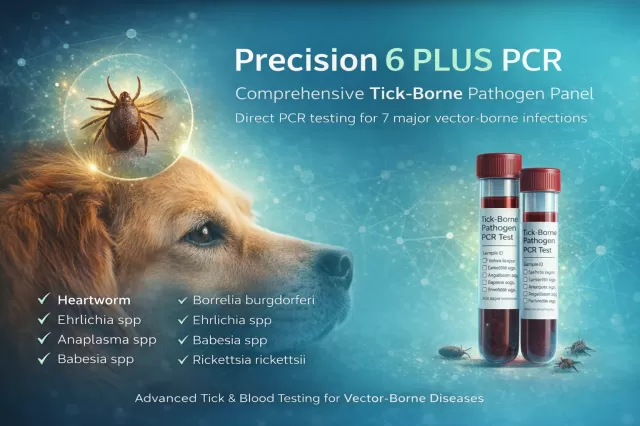 Presidion 6  Plus - Tick Born Pathogens PCR