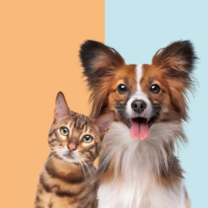  Why Clinics Trust  HealthGene